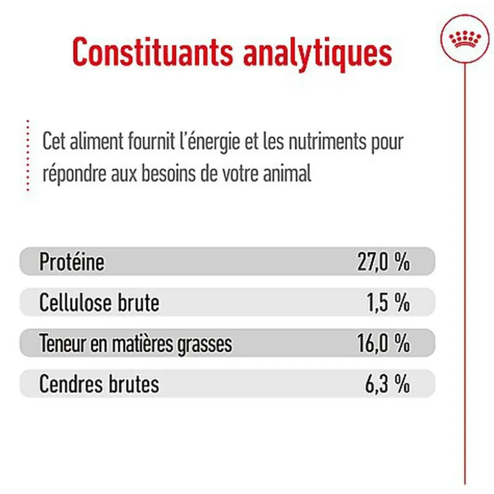 Royal Canin - Croquettes Mini 8+ pour Chien Adulte
