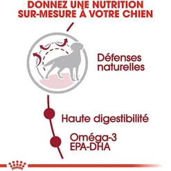 Royal Canin - Croquettes Medium Adult pour Chien