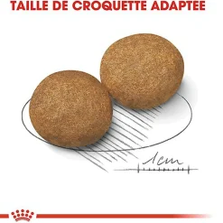 Royal Canin - Croquettes Medium Adult pour Chien