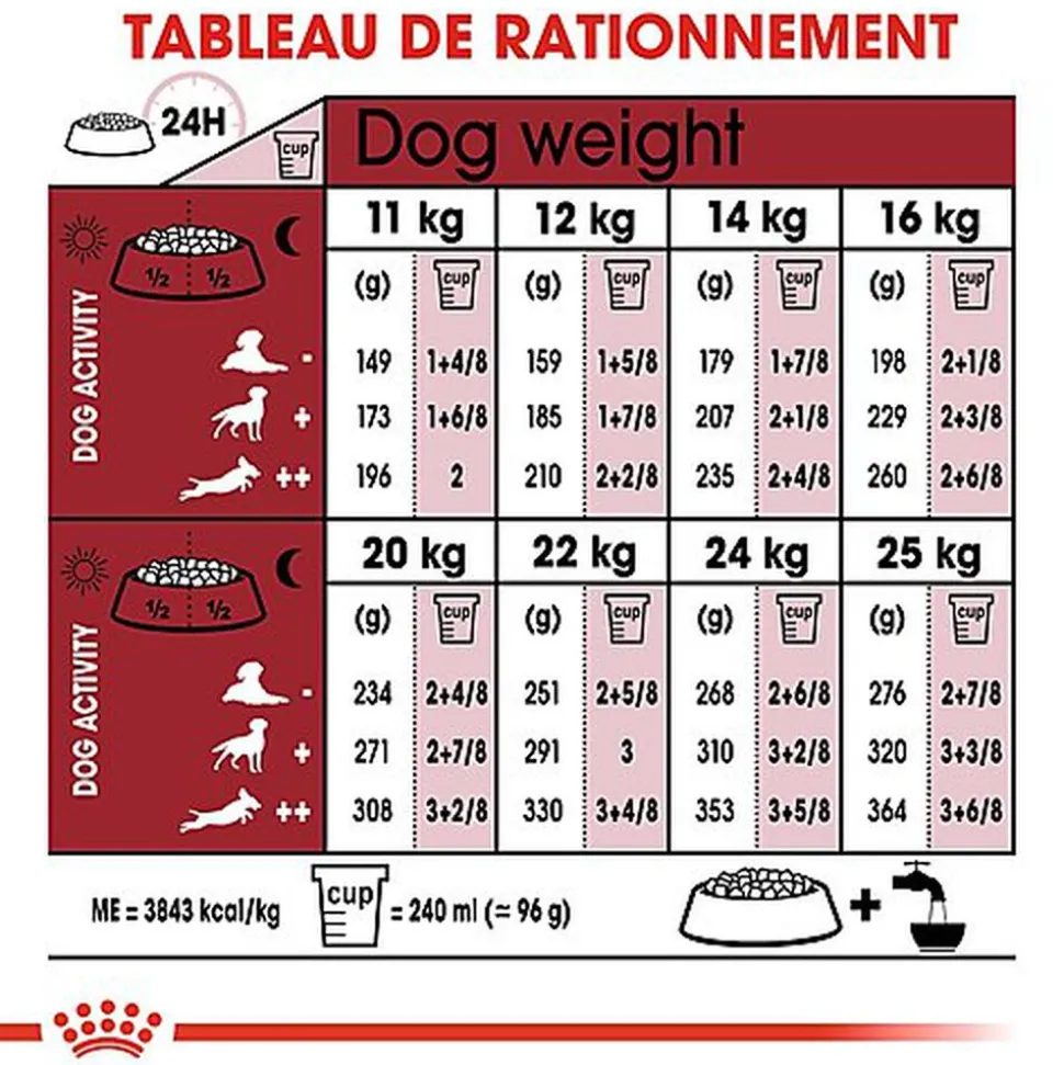 Royal Canin - Croquettes Medium Adult pour Chien
