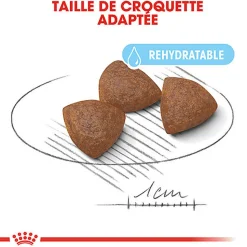 Royal Canin - Croquettes Medium Starter Mother & Babydog pour Chiot