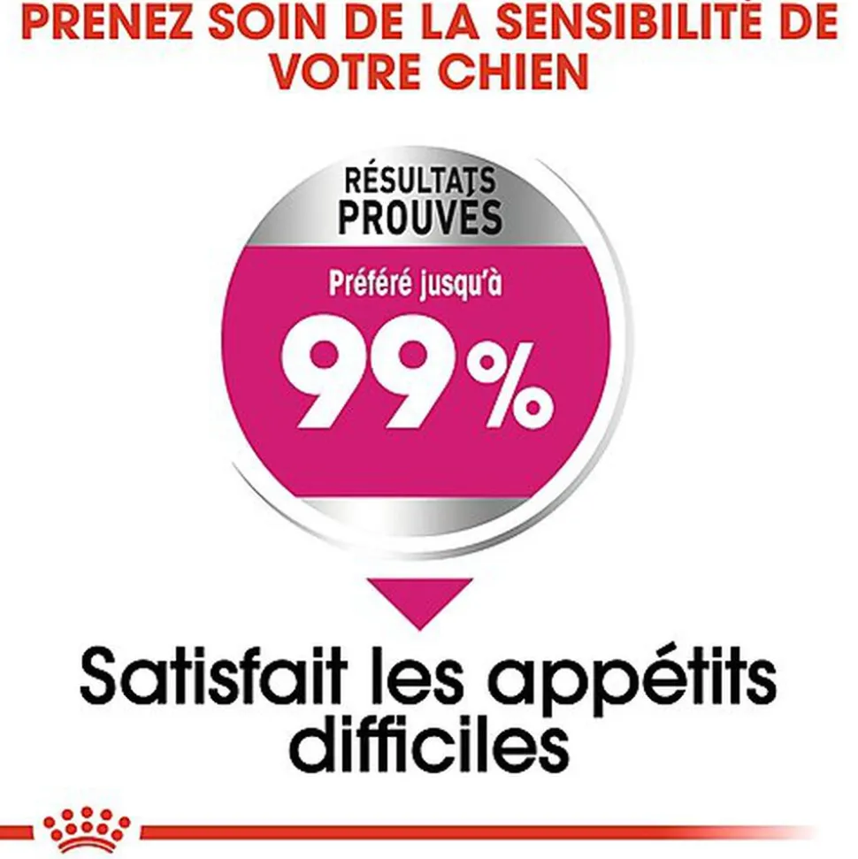 Royal Canin - Croquettes Mini Exigent Appétit Difficile Pour Chien