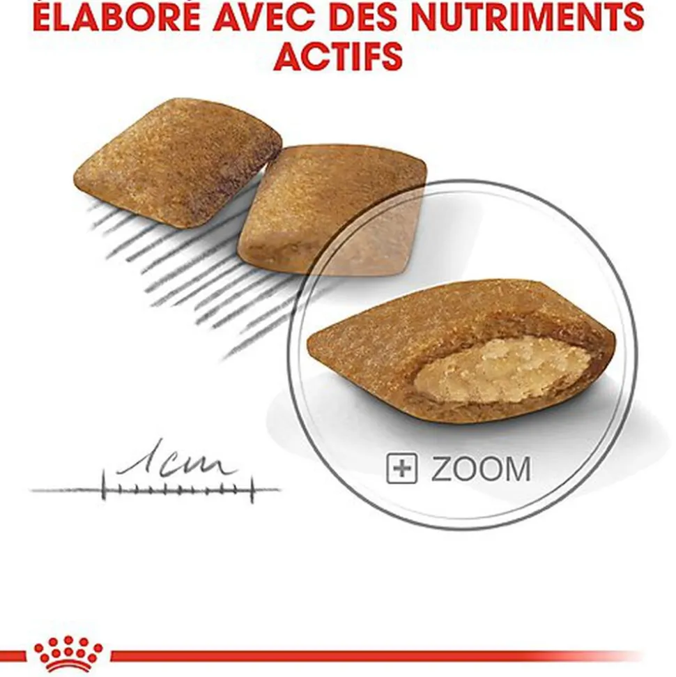 Royal Canin - Croquettes Mini Exigent Appétit Difficile Pour Chien
