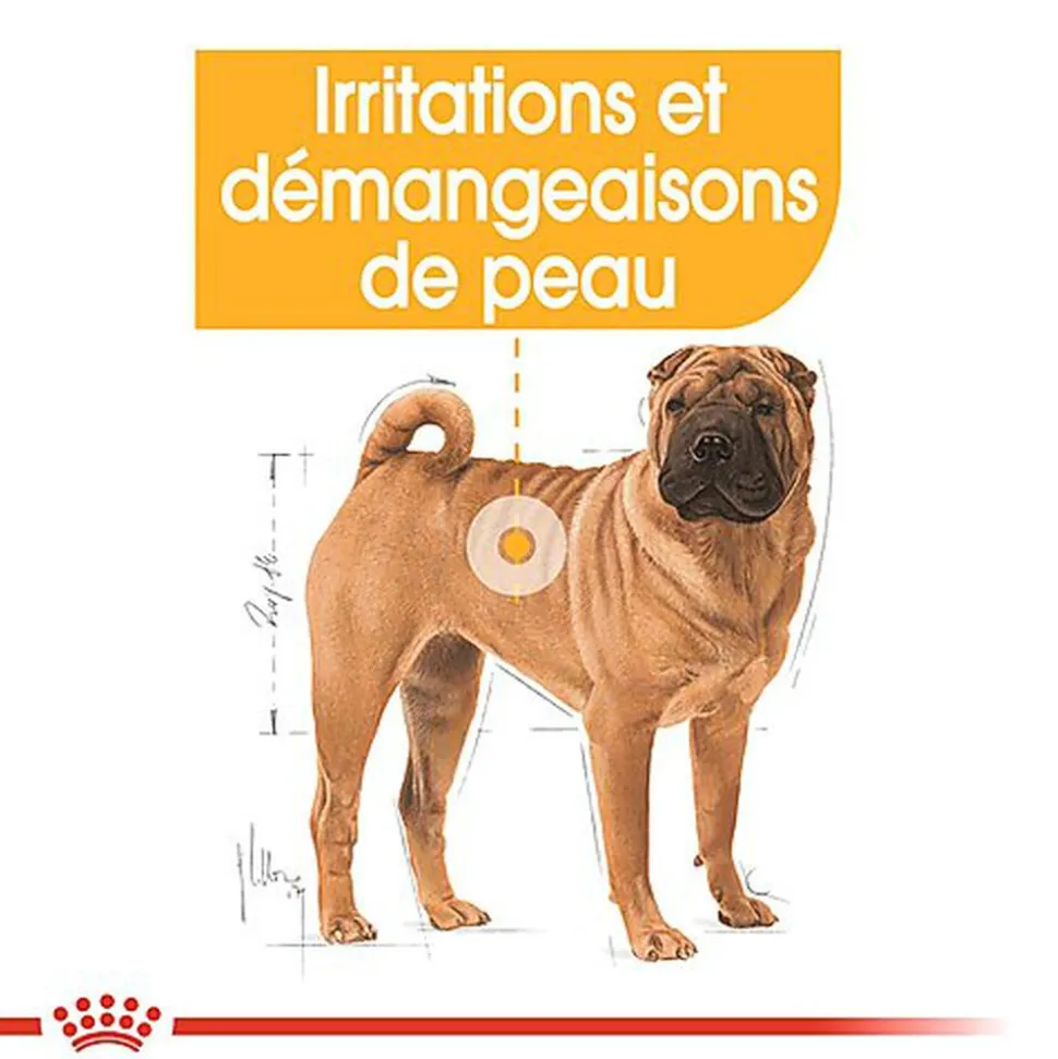 Royal Canin - Croquettes Medium Dermacomfort pour Chien