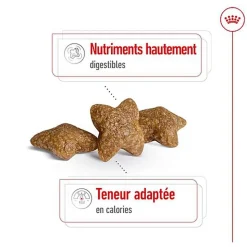 Royal Canin - Croquettes Mini Adult pour Chien de Petite Taille