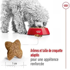 Royal Canin - Croquettes Mini Adult pour Chien de Petite Taille