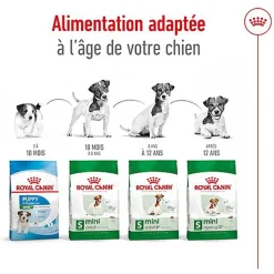 Royal Canin - Croquettes Mini Adult pour Chien de Petite Taille