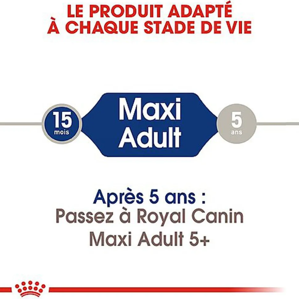 Royal Canin - Croquettes Maxi Adult pour Chiens de Grande Taille