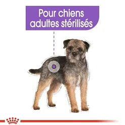 Royal Canin - Croquettes Mini Sterilised pour Chien Stérilisé