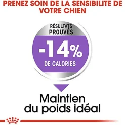 Royal Canin - Croquettes Mini Sterilised pour Chien Stérilisé