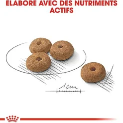Royal Canin - Croquettes Mini Sterilised pour Chien Stérilisé