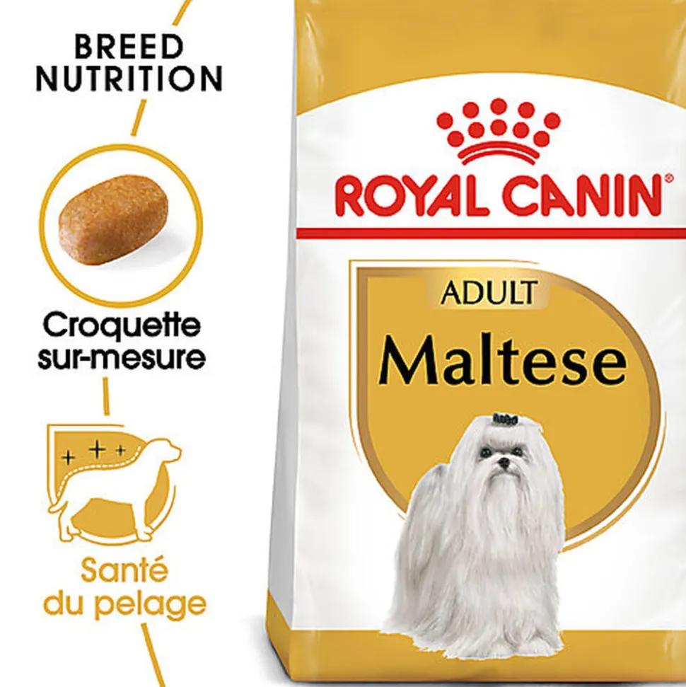 Royal Canin - Croquettes Maltese Adult Bichon Maltais pour Chiens - 1,5Kg