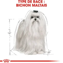 Royal Canin - Croquettes Maltese Adult Bichon Maltais pour Chiens - 1,5Kg