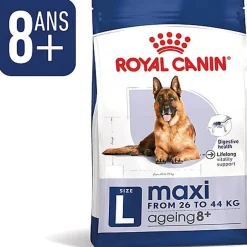 Royal Canin - Croquettes Maxi Ageing 8+ pour Chien Senior