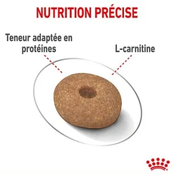 Royal Canin - Croquettes Mini Light Weight Care pour Chien