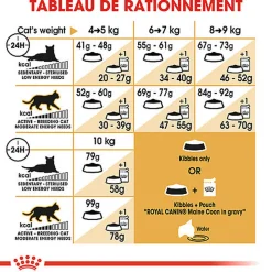 Royal Canin - Croquettes Maine Coon Adult pour Chat - 400g