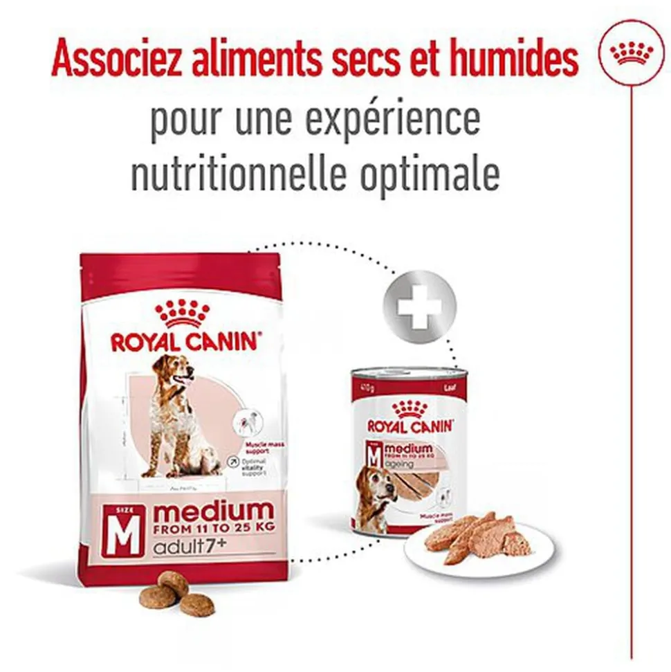 Royal Canin - Croquettes Medium Adulte 7+ pour Chien