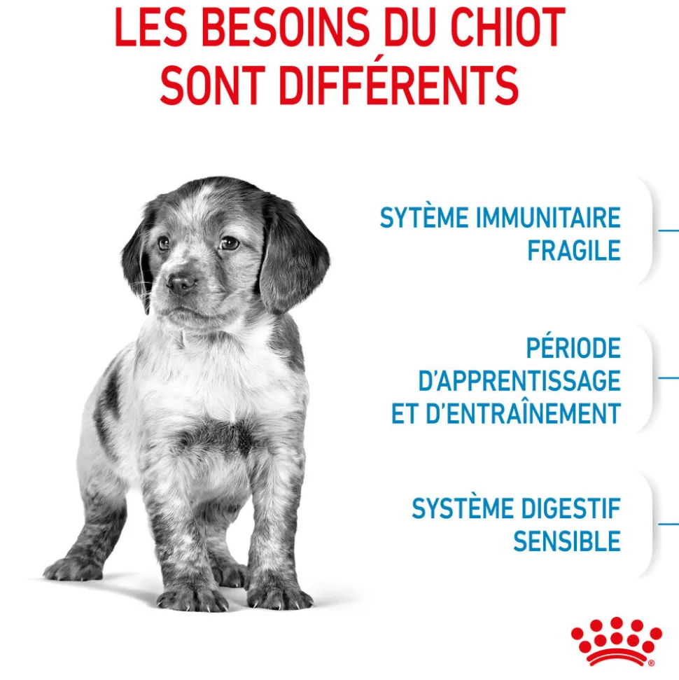 Royal Canin - Croquettes Medium Puppy pour Chiot de 2 à 12 mois