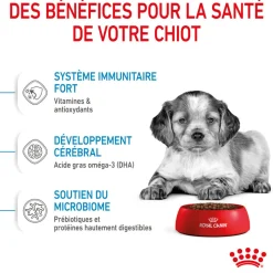 Royal Canin - Croquettes Medium Puppy pour Chiot de 2 à 12 mois