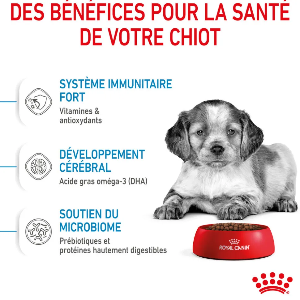 Royal Canin - Croquettes Medium Puppy pour Chiot de 2 à 12 mois