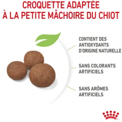 Royal Canin - Croquettes Medium Puppy pour Chiot de 2 à 12 mois