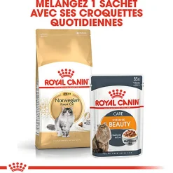 Royal Canin - Croquettes Norwegian Adult pour Chat