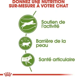 Royal Canin - Croquettes Outdoor Active Life pour Chat