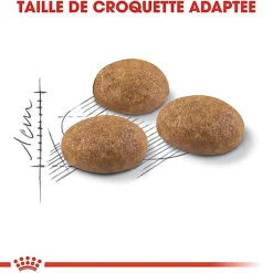 Royal Canin - Croquettes Outdoor Active Life pour Chat