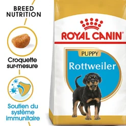 Royal Canin - Croquettes PUPPY ROTTWEILER pour chiots - 12KG