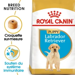 Royal Canin - Croquettes PUPPY LABRADOR RETRIEVER CHIOT - 3KG