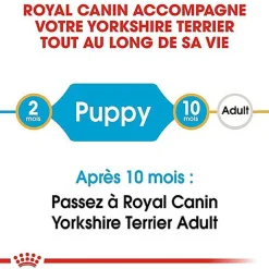 Royal Canin - Croquettes Puppy Yorkshire Terrier pour Chiot