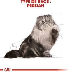Royal Canin - Croquettes Persian pour Chat Adulte à partir de 12 Mois