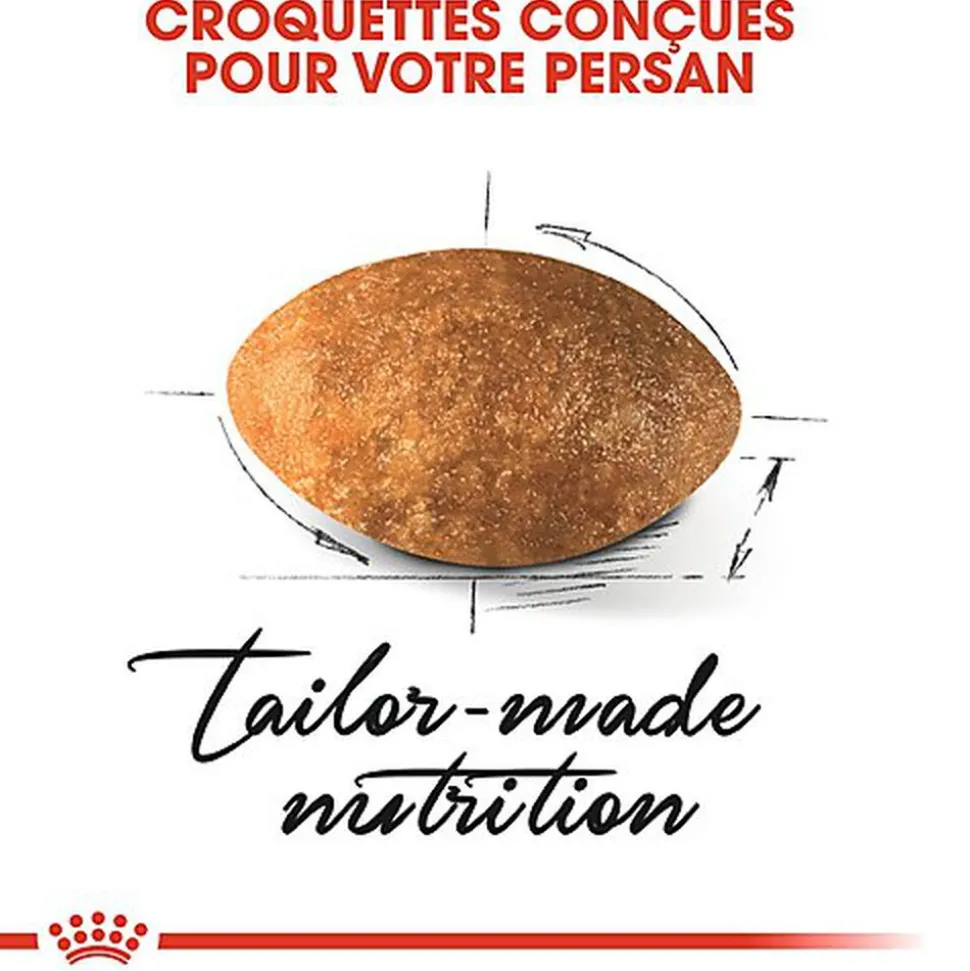 Royal Canin - Croquettes Persian pour Chat Adulte à partir de 12 Mois