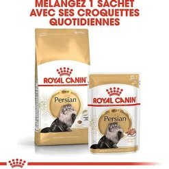 Royal Canin - Croquettes Persian pour Chat Adulte à partir de 12 Mois