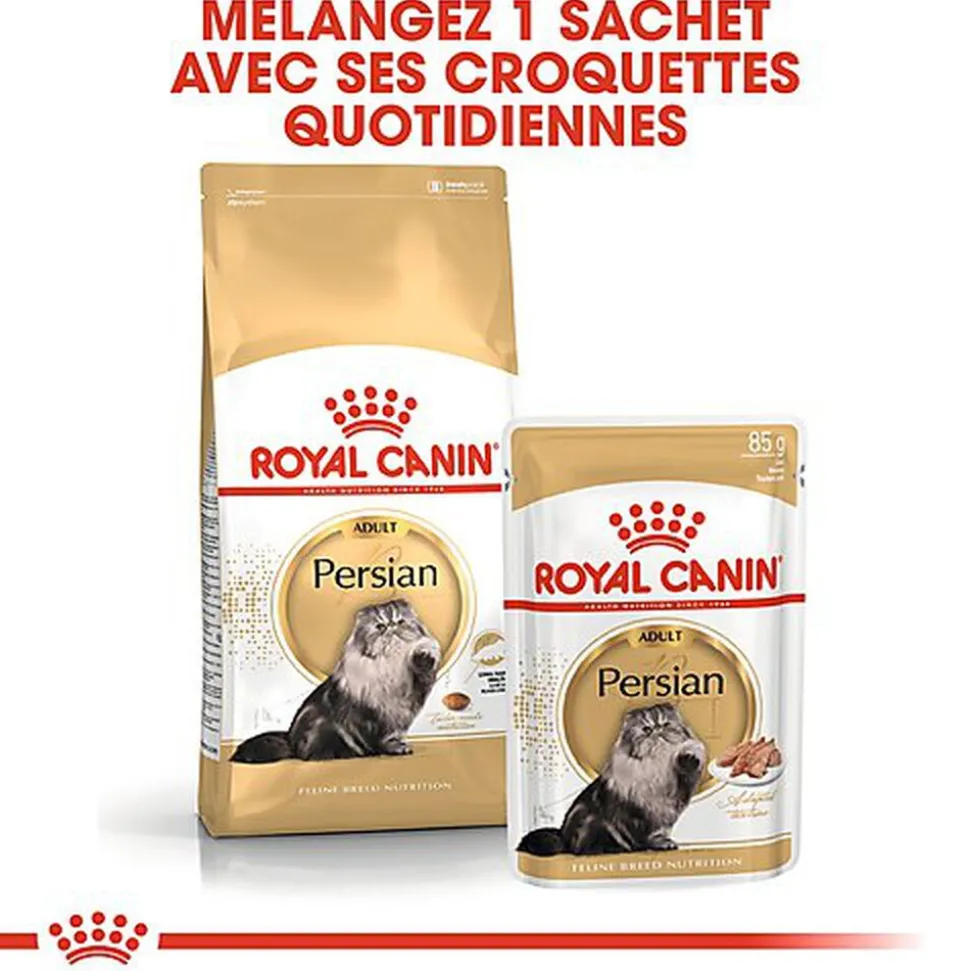 Royal Canin - Croquettes Persian pour Chat Adulte à partir de 12 Mois