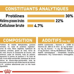 Royal Canin - Croquettes Persian pour Chat Adulte à partir de 12 Mois