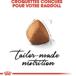 Royal Canin - Croquettes Ragdoll Adult Pour Chat