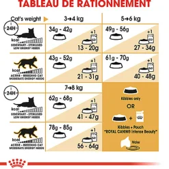 Royal Canin - Croquettes Ragdoll Adult Pour Chat