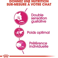 Royal Canin - Croquettes Savour Exigent pour Chats Difficiles - 10Kg
