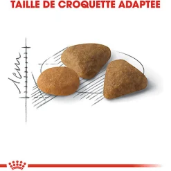 Royal Canin - Croquettes Savour Exigent pour Chats Difficiles - 10Kg