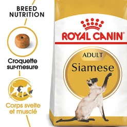 Royal Canin - Croquettes Siamese Adult Pour Chat