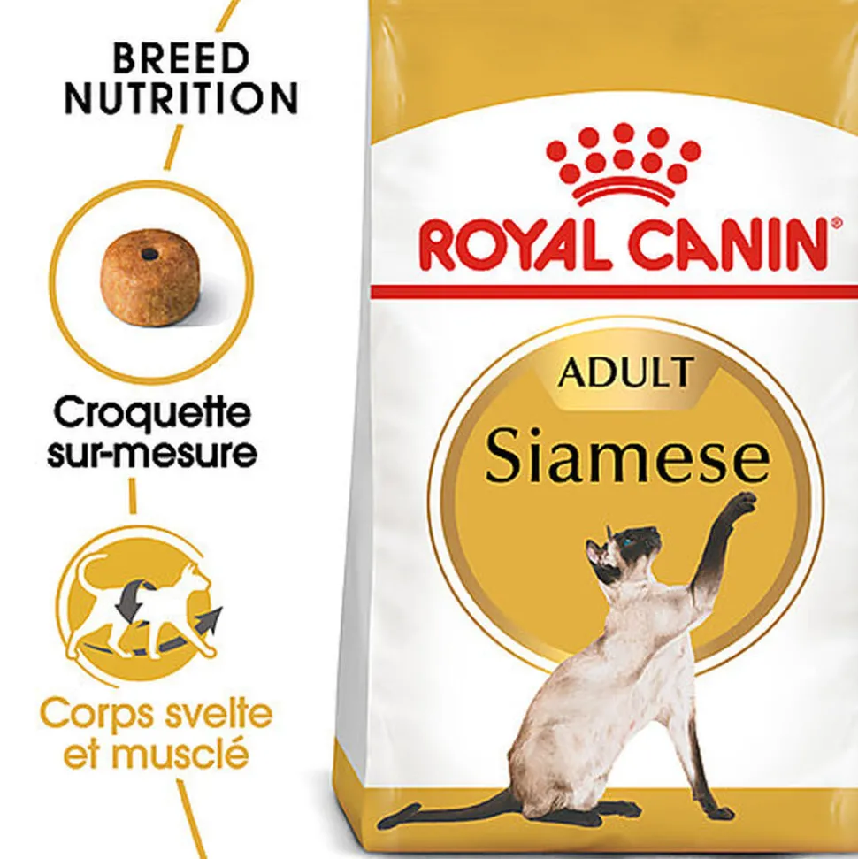 Royal Canin - Croquettes Siamese Adult Pour Chat