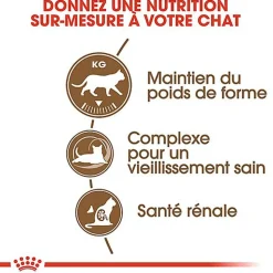 Royal Canin - Croquettes Senior Sterilised 12+ pour Chat Senior
