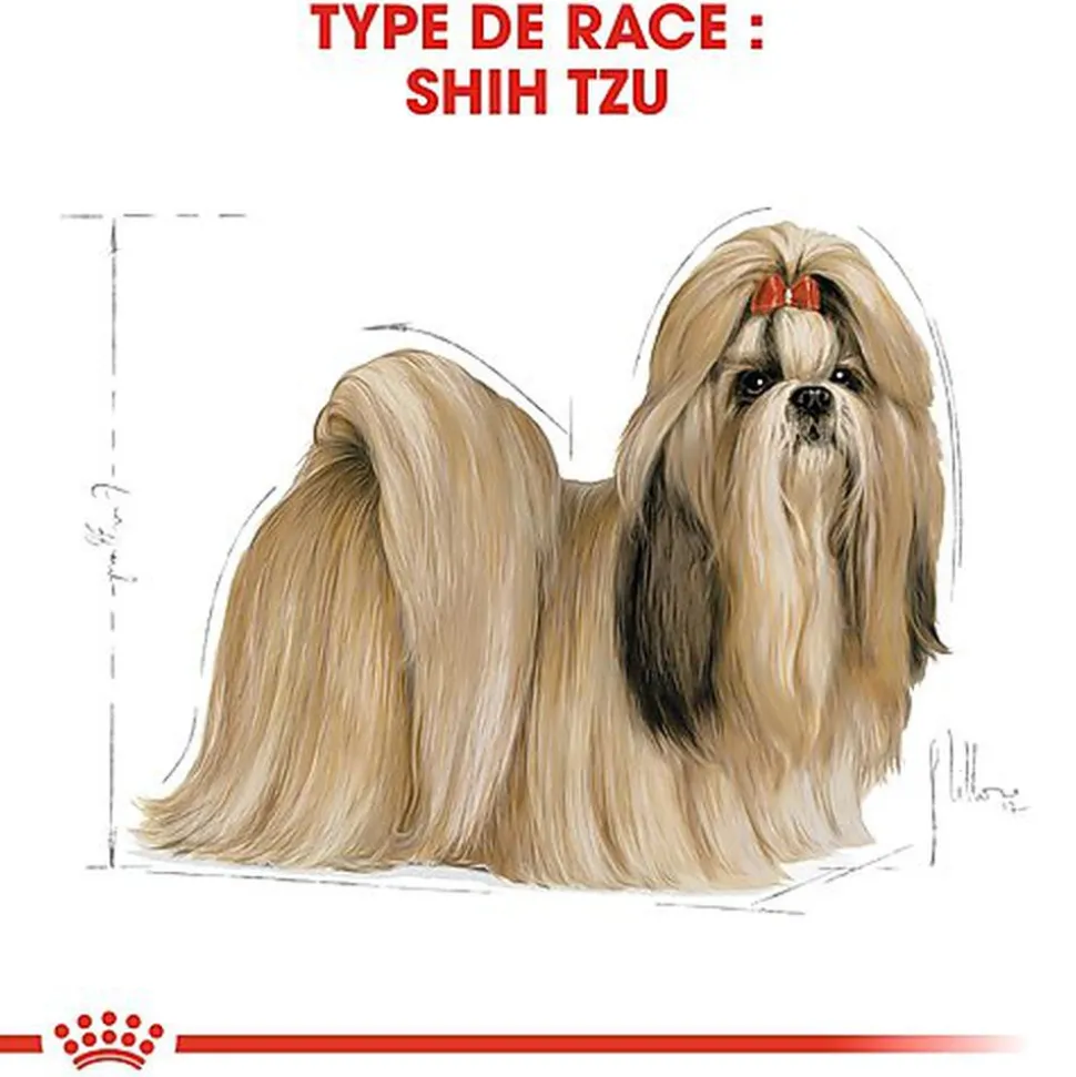 Royal Canin - Croquettes Shih Tzu Adult pour Chien