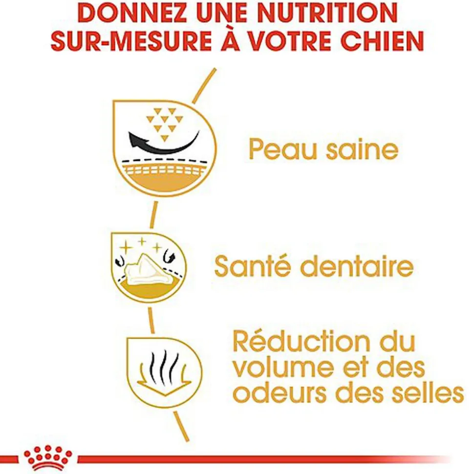 Royal Canin - Croquettes Shih Tzu Adult pour Chien