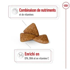 Royal Canin - Croquettes Senior - 1,5KG