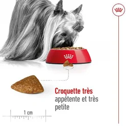Royal Canin - Croquettes Senior - 1,5KG