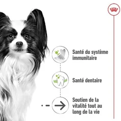 Royal Canin - Croquettes Senior - 1,5KG