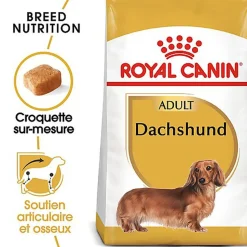 Royal Canin - Croquettes Teckel Adult pour Chien