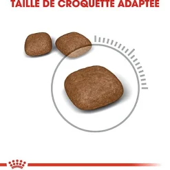 Royal Canin - Croquettes Urinary Care pour Chat - 400g